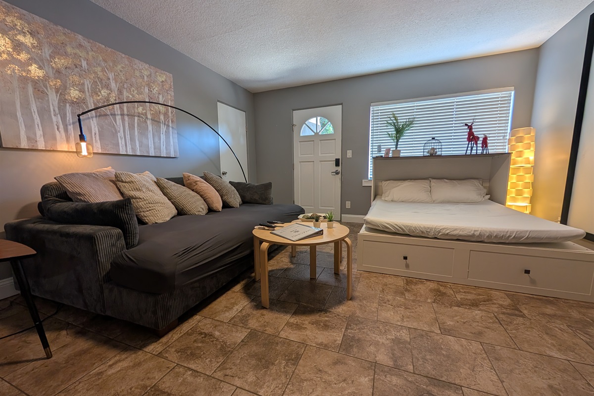 The pull out murphy bed in the living room also is a queen bed for 2 people