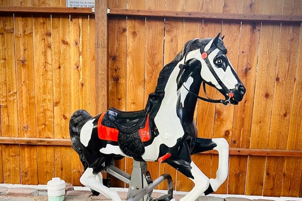 The Littles can enjoy their own free pony rides!