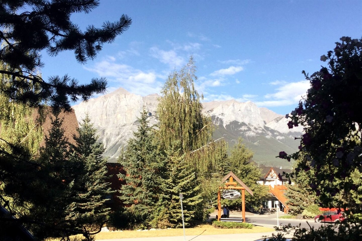 View outside.  