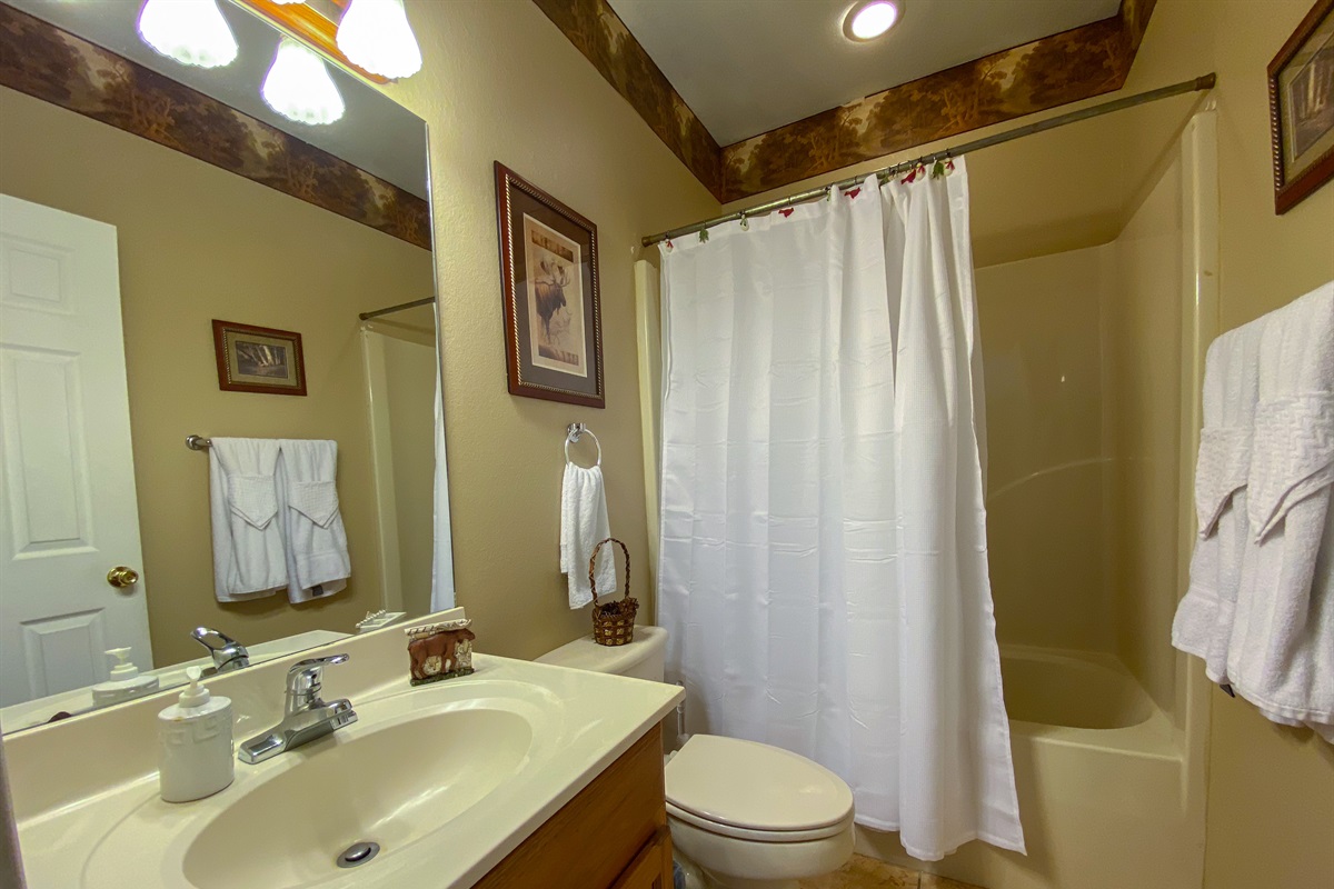 Bathroom 1 on main level
