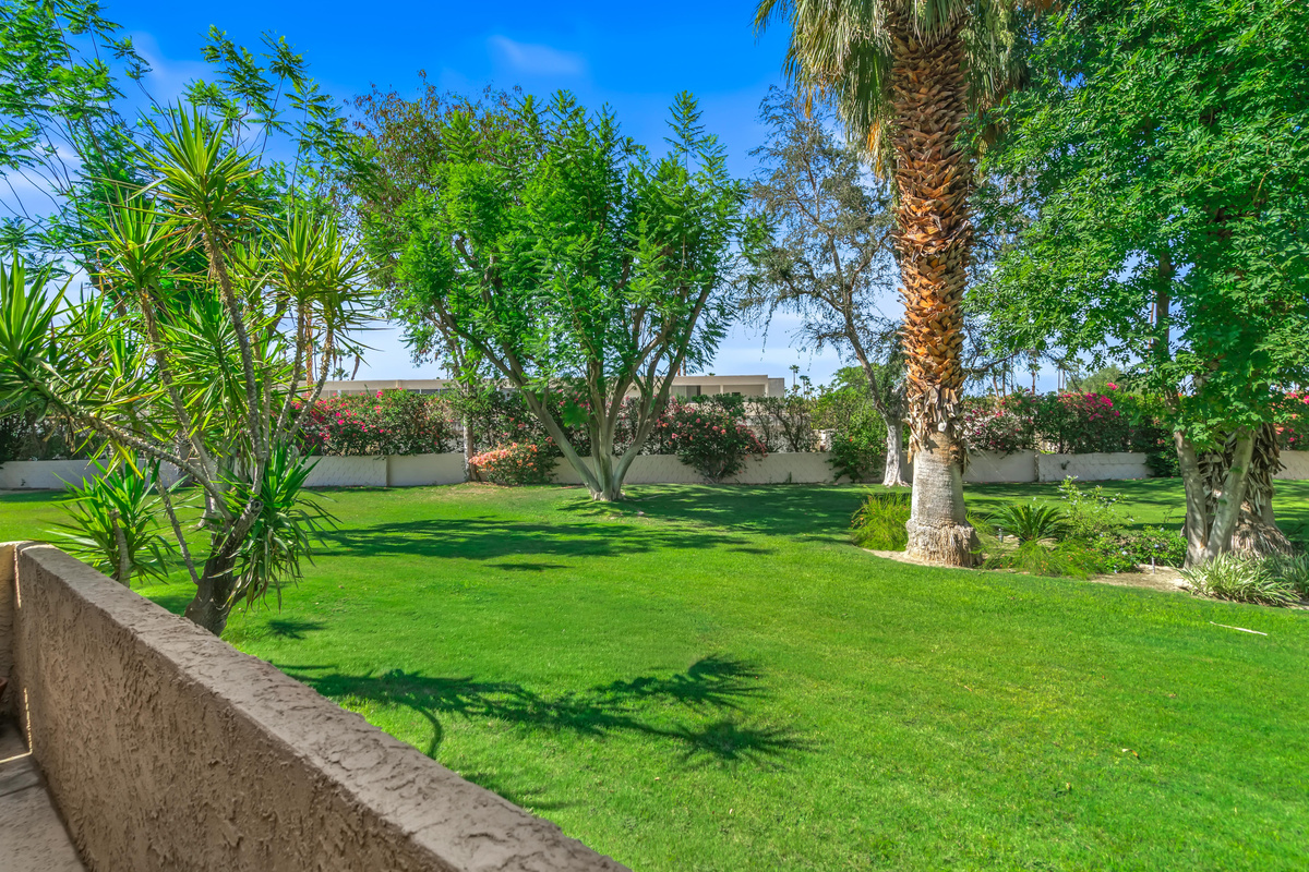 View from Patio