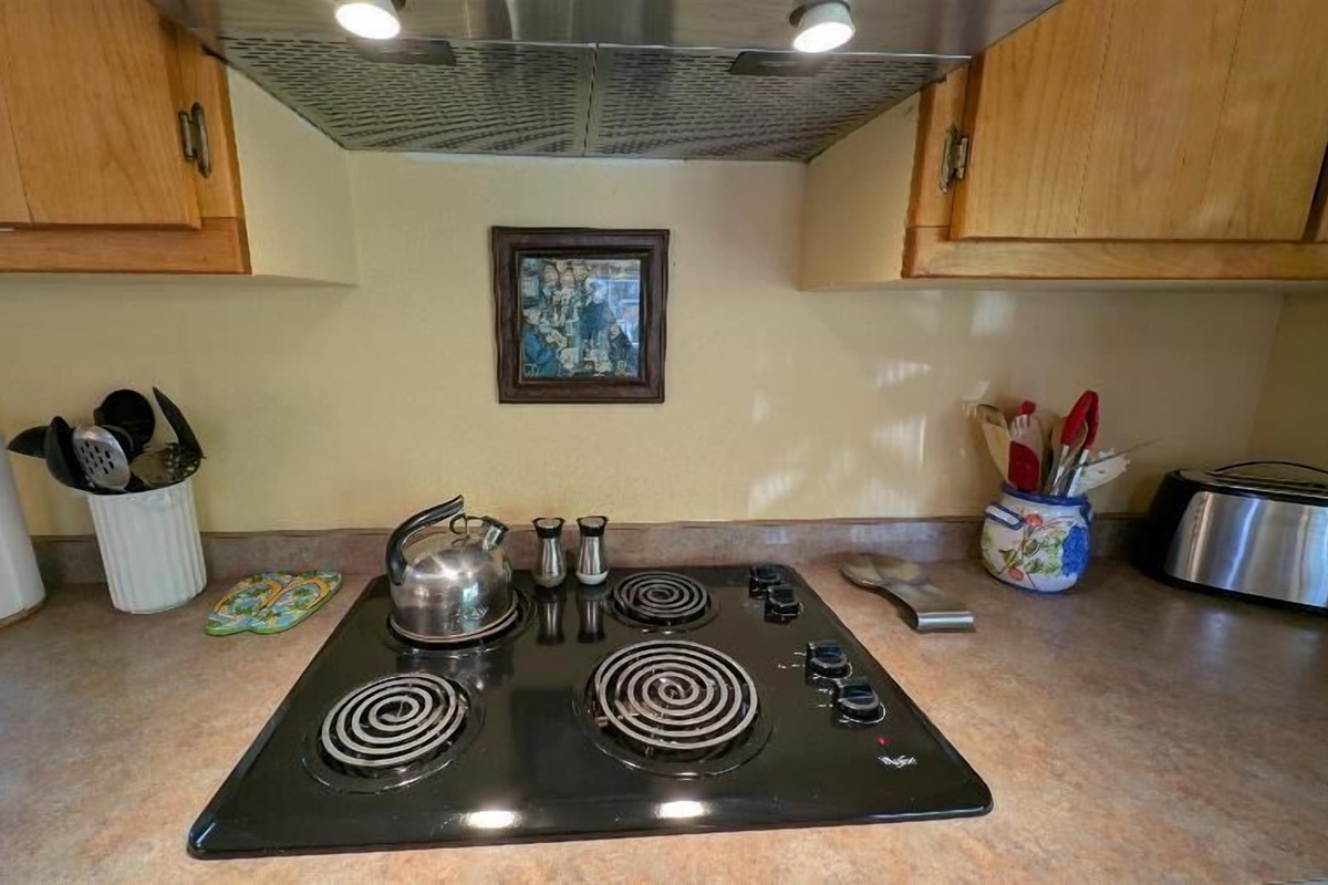 electric cooktop