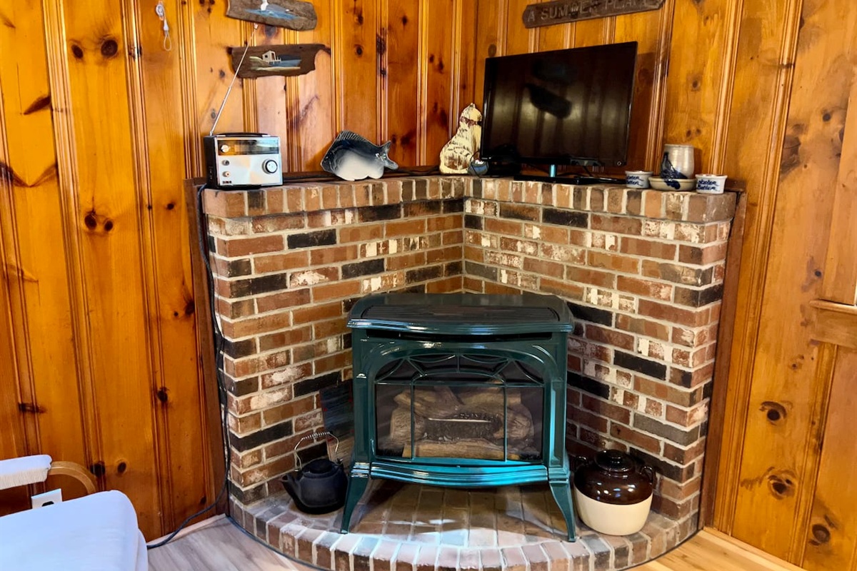 Enjoy a woodstove fire!
