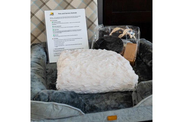 Pet-friendly setup with bed and pet essentials