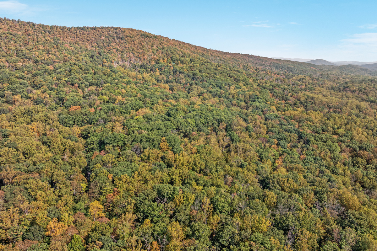 Your next adventure starts here — lace up your boots for scenic trails and sweeping mountain views at Cacapon State Park.
