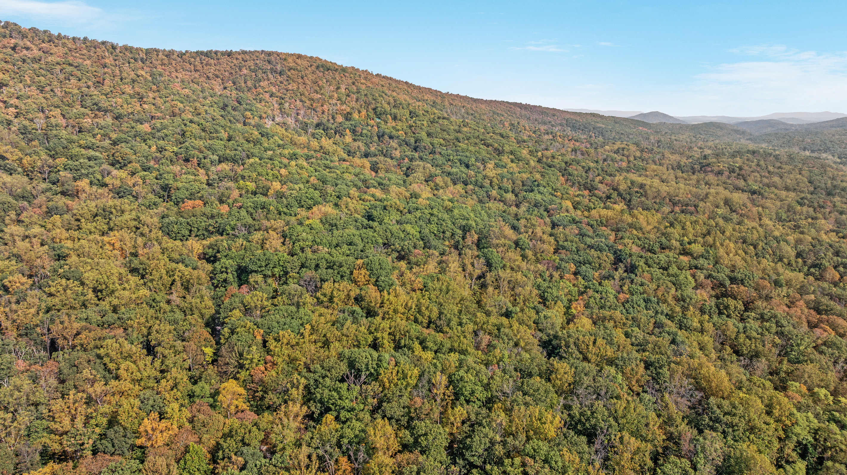 Your next adventure starts here — lace up your boots for scenic trails and sweeping mountain views at Cacapon State Park.