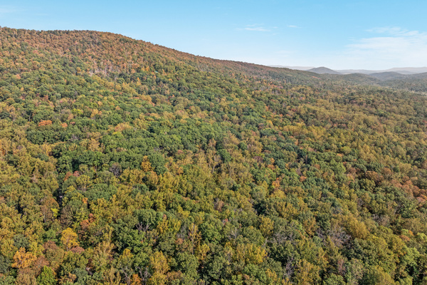 Your next adventure starts here — lace up your boots for scenic trails and sweeping mountain views at Cacapon State Park.