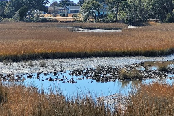 Marsh view from near by deck. 