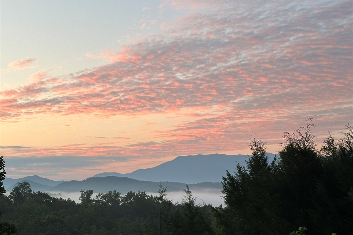 Smoky mountains on a smoky summer evening. Another gem shared by a guest.