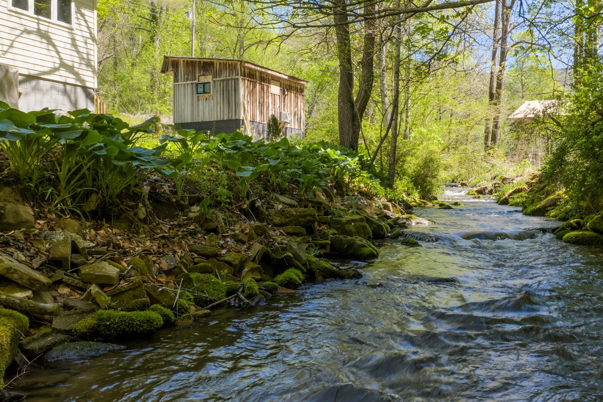 Let the sights and sounds of Yellow Creek set the tone for your stay.