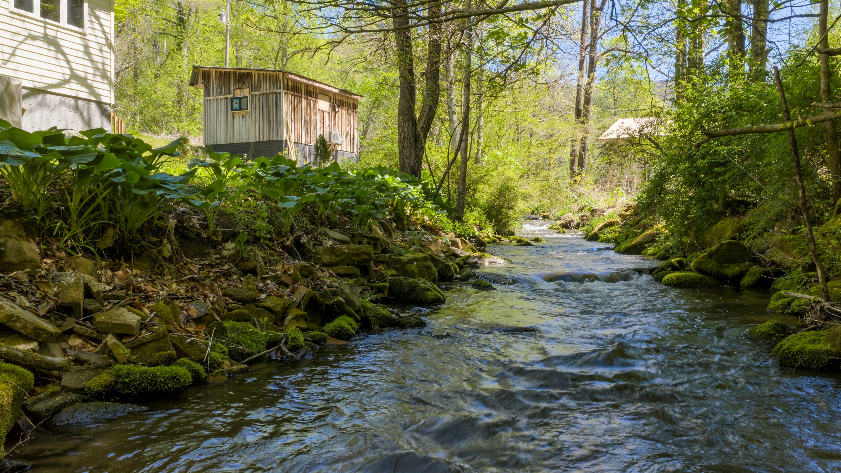 Let the sights and sounds of Yellow Creek set the tone for your stay.