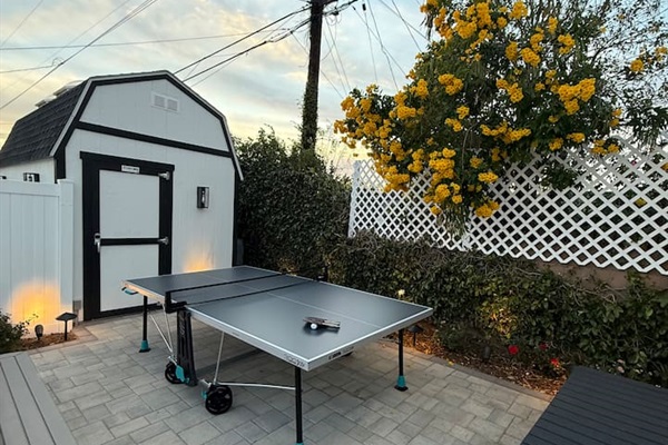 Backyard ping pong table