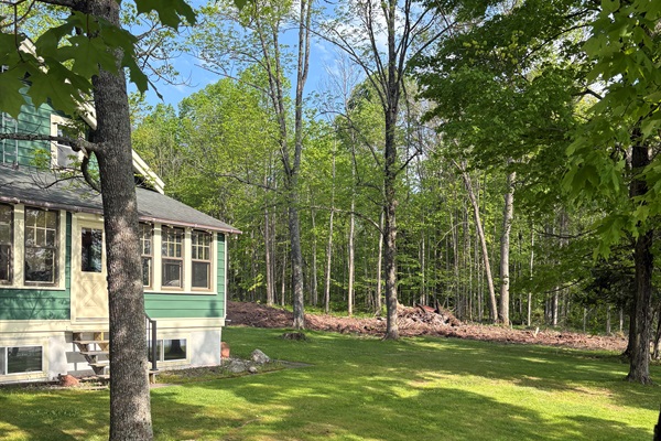 Front yard looking towards the empty lot