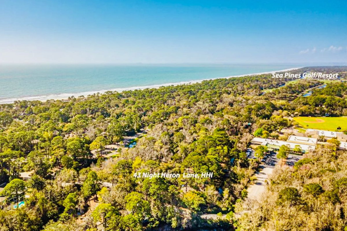 Sea Pines and the beach from above