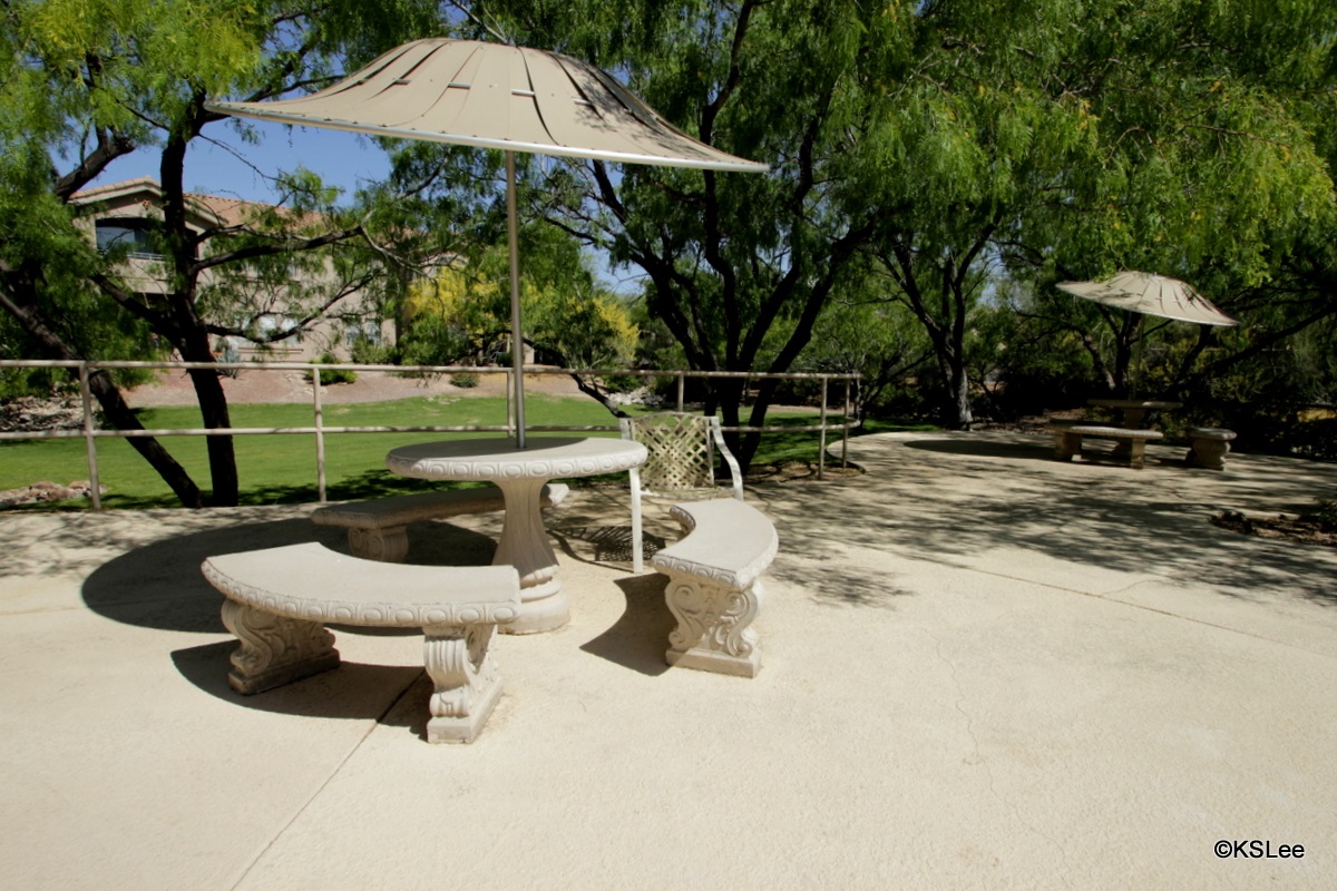 Community seating by pool at 755 W