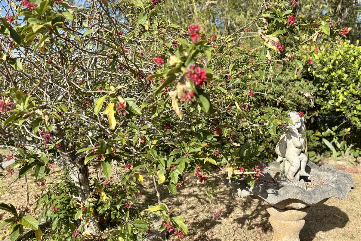 Enjoy the garden views and statuettes all around the property.