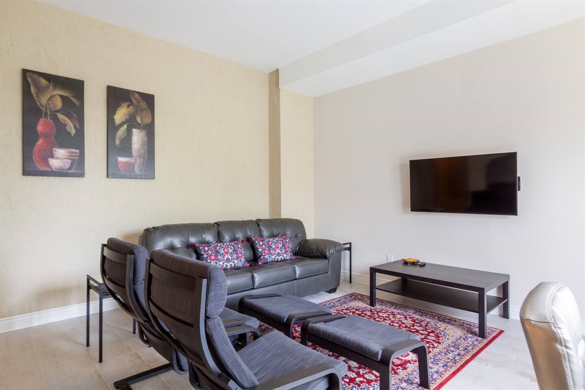 Flat Screen Television including Netflix