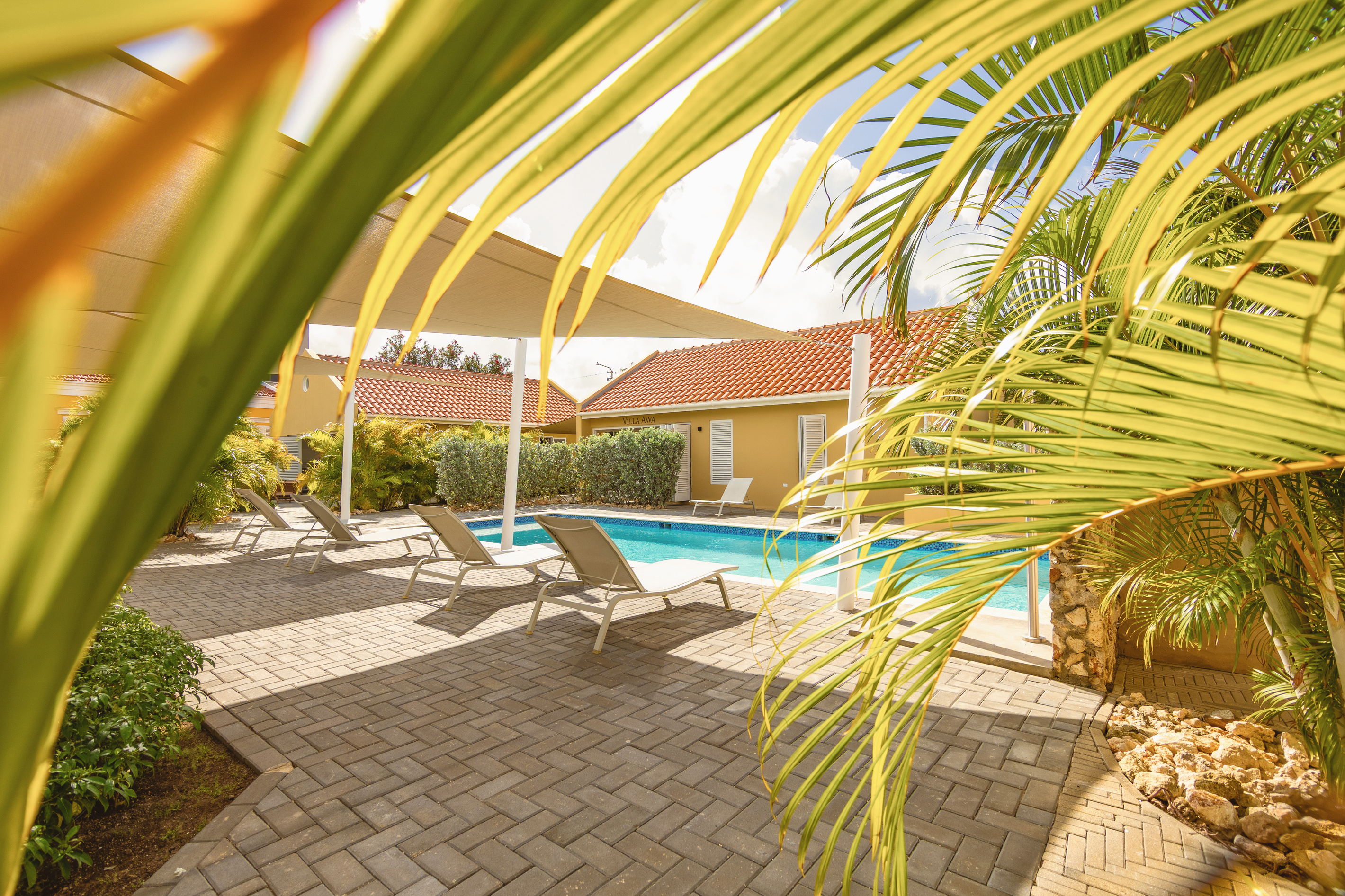 Villa Grandi Estate – Pool & garden