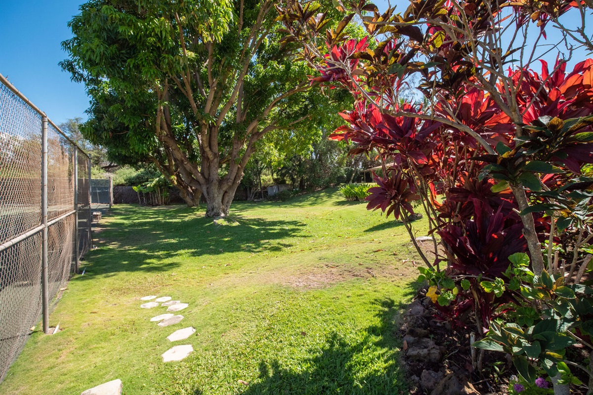 Path to Tennis Court