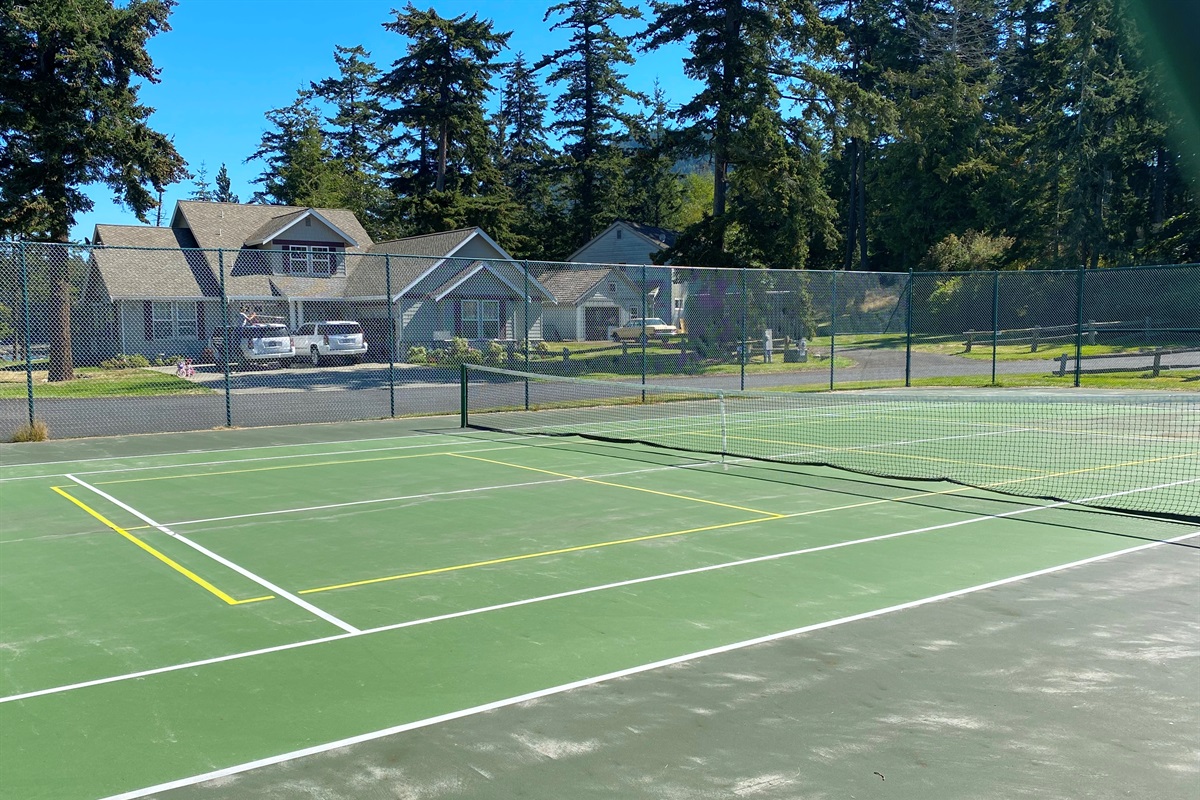 Smash, serve, score - your courts await!