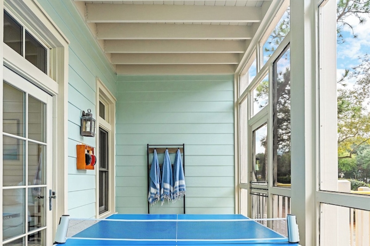 Hours of fun with the Ping Pong table on the Patio 