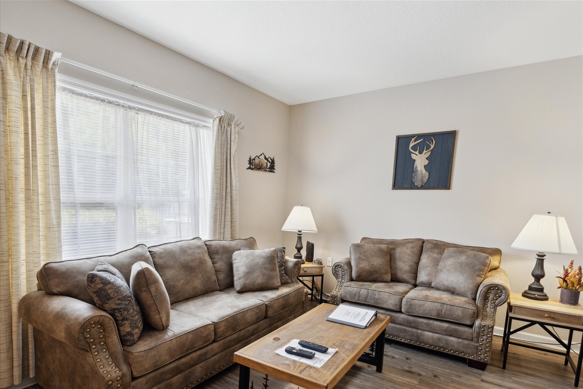 Queen sleeper sofa in living room (sleeps 2)