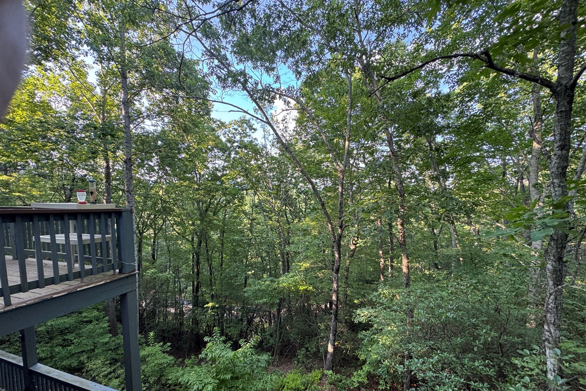 Relax on the private deck and take in the peaceful wooded views—your serene escape awaits.
