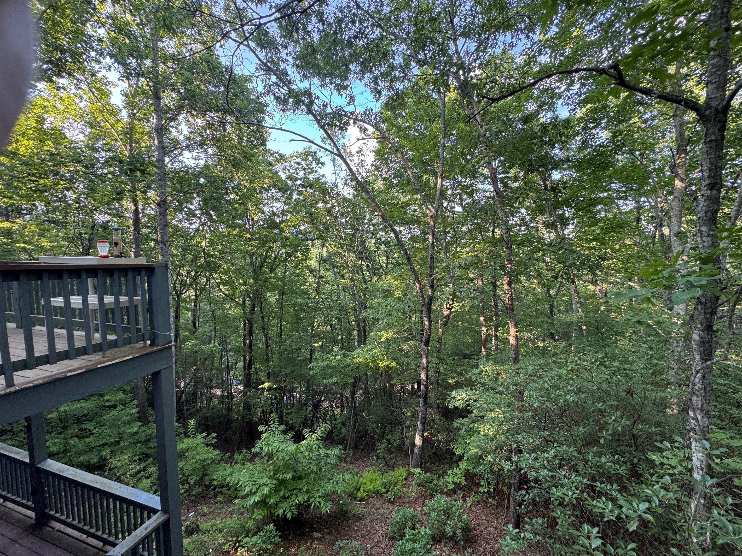 Relax on the private deck and take in the peaceful wooded views—your serene escape awaits.