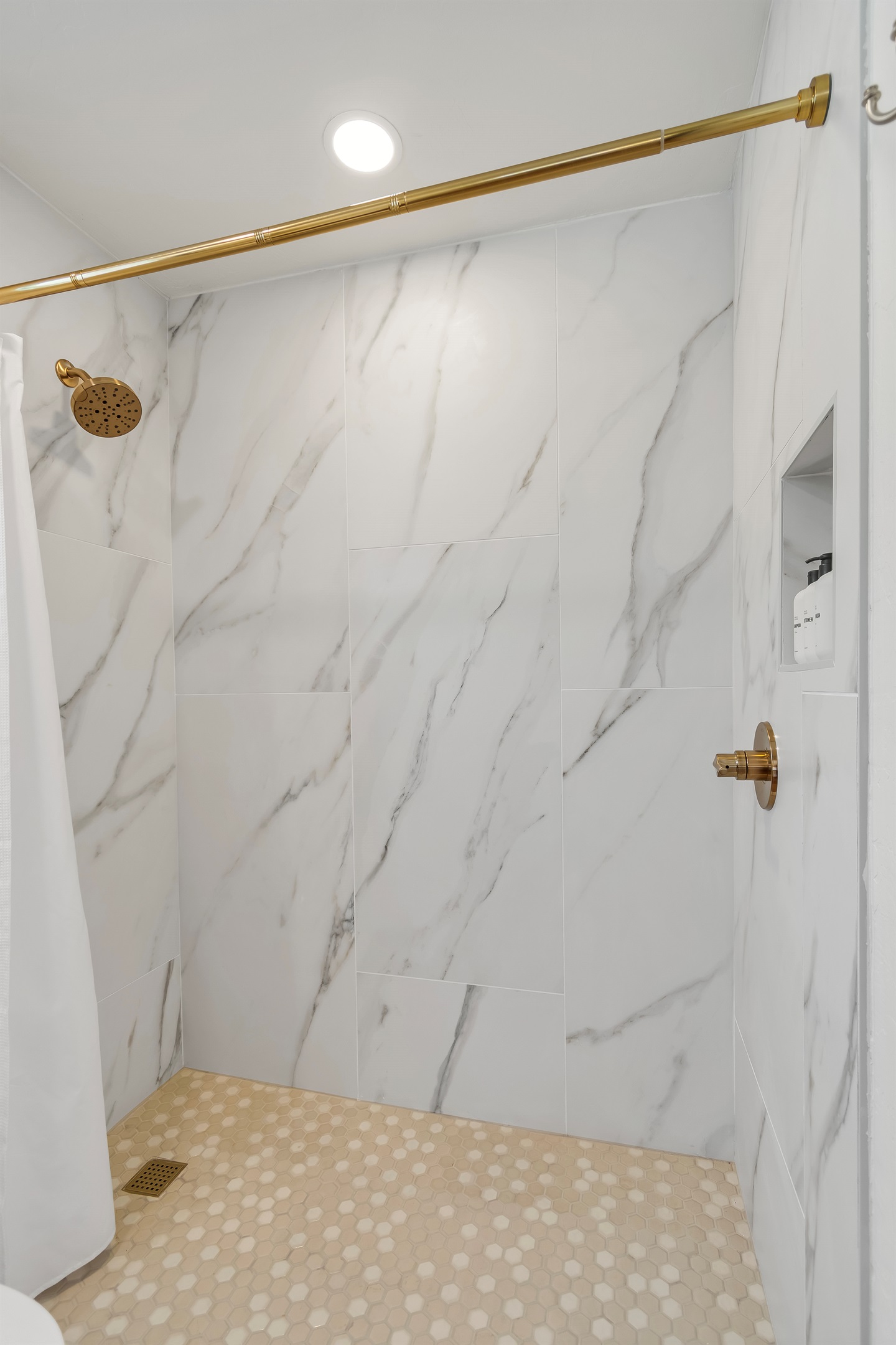 Walk-In Guest Shower