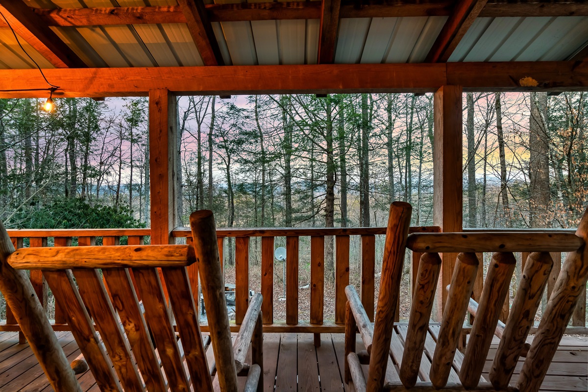 Grab a seat and watch the woods come alive