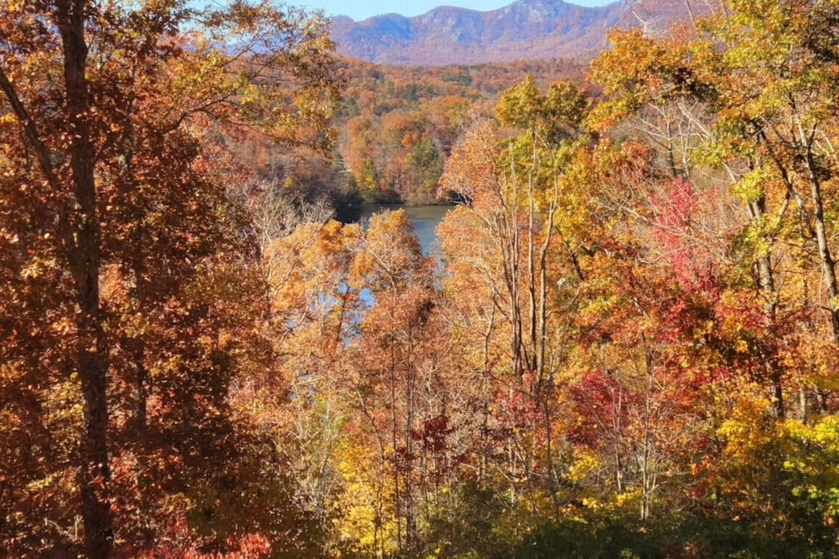 Lake view from cabin