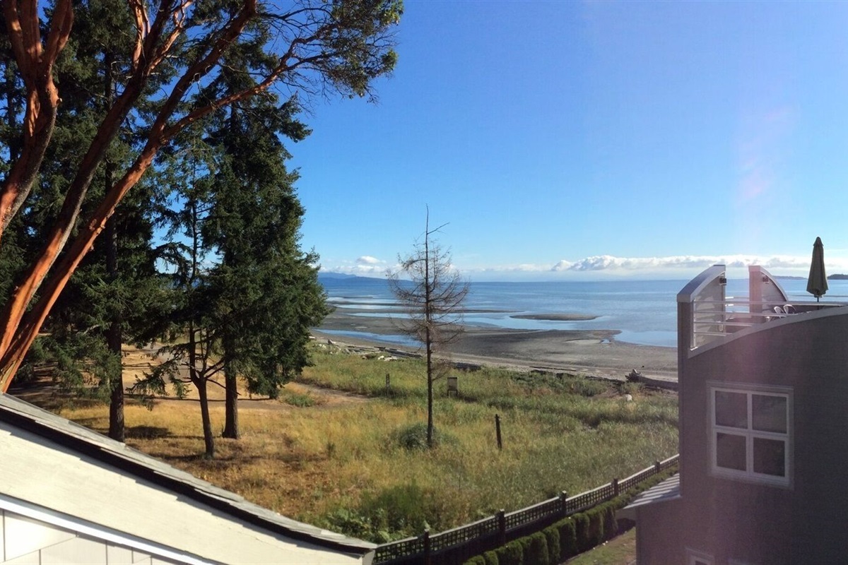 Pan photo from upper deck - wow!