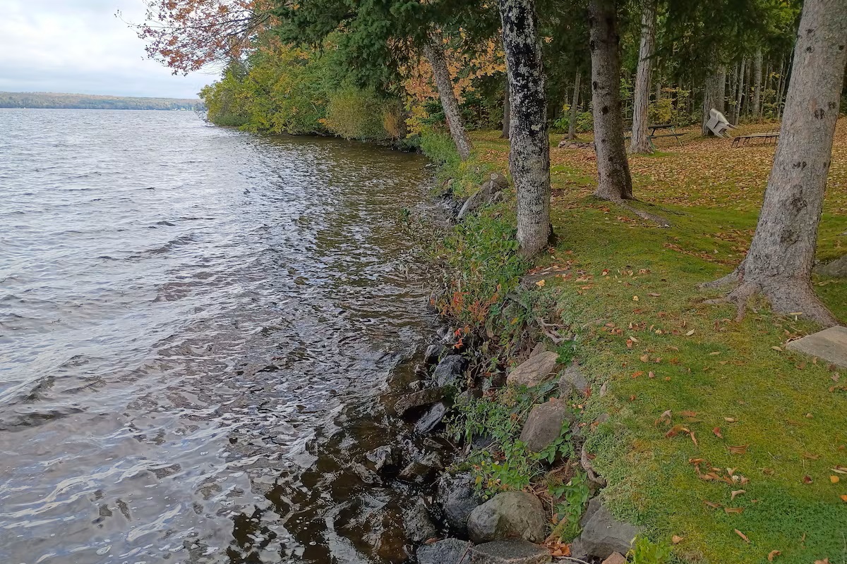 Shoreline