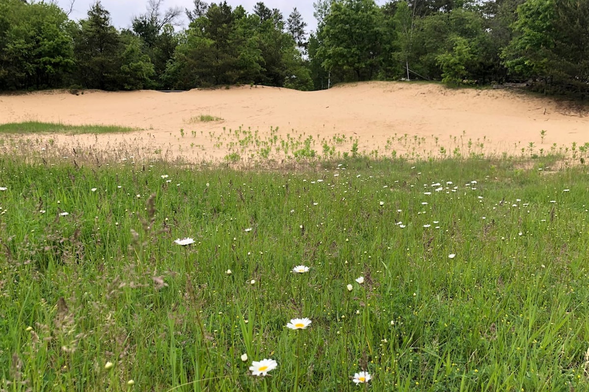 Our 3.4 acres has a large sand bowl for kids to enjoy. Machines are not permitted, but please help yourself an walk around to enjoy it.