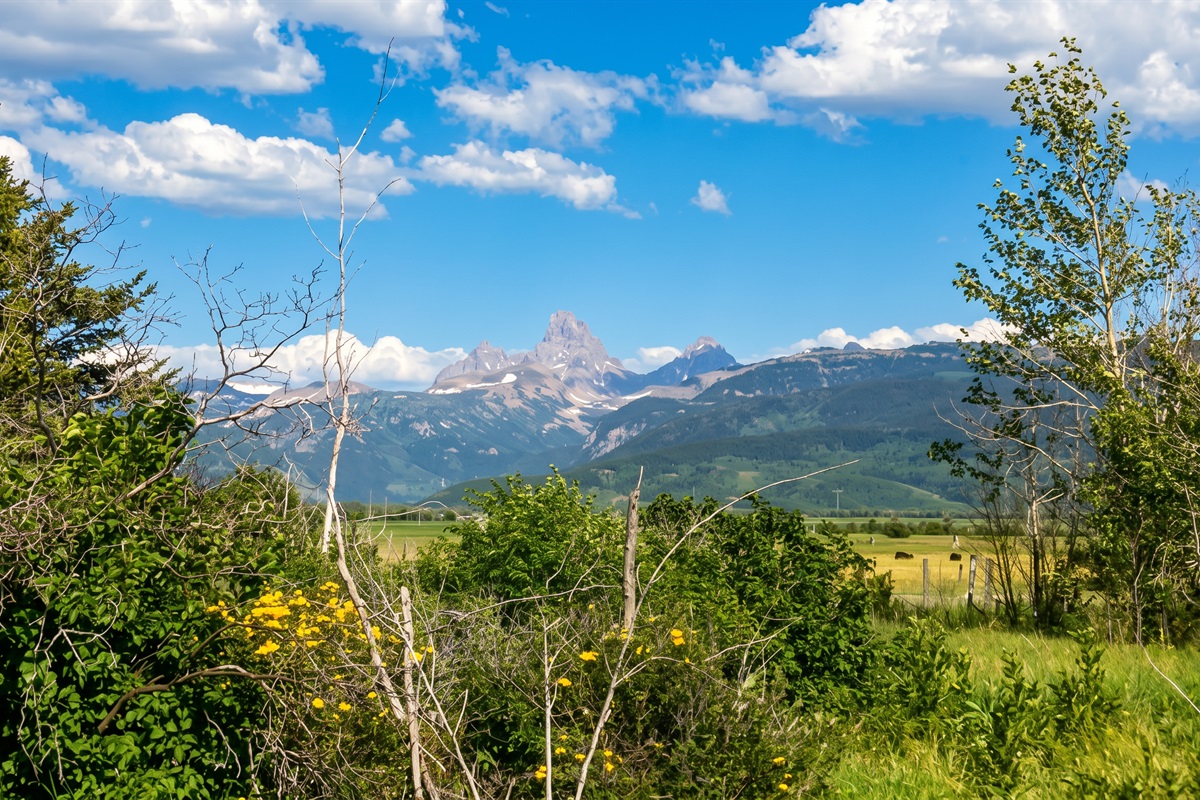Who are you bringing here #GrandTeton