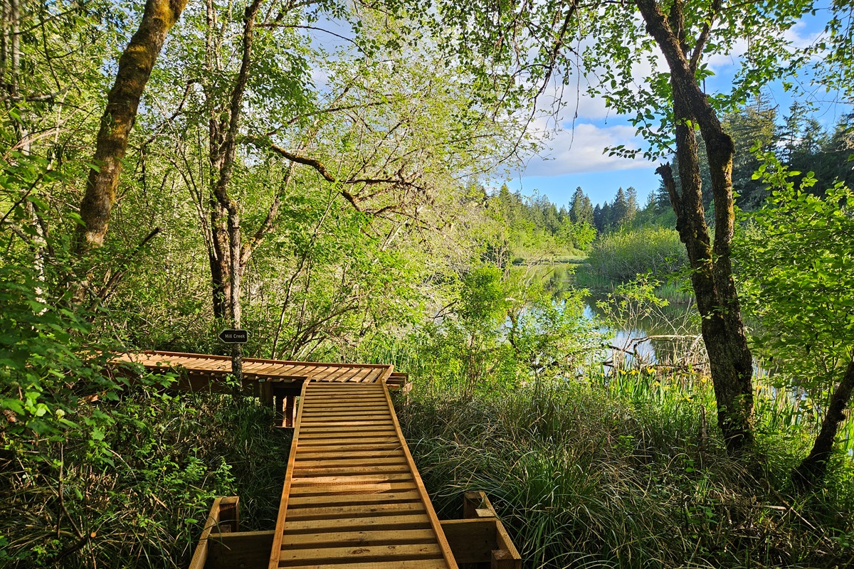 Approaching Mill Creek on the boardwalk