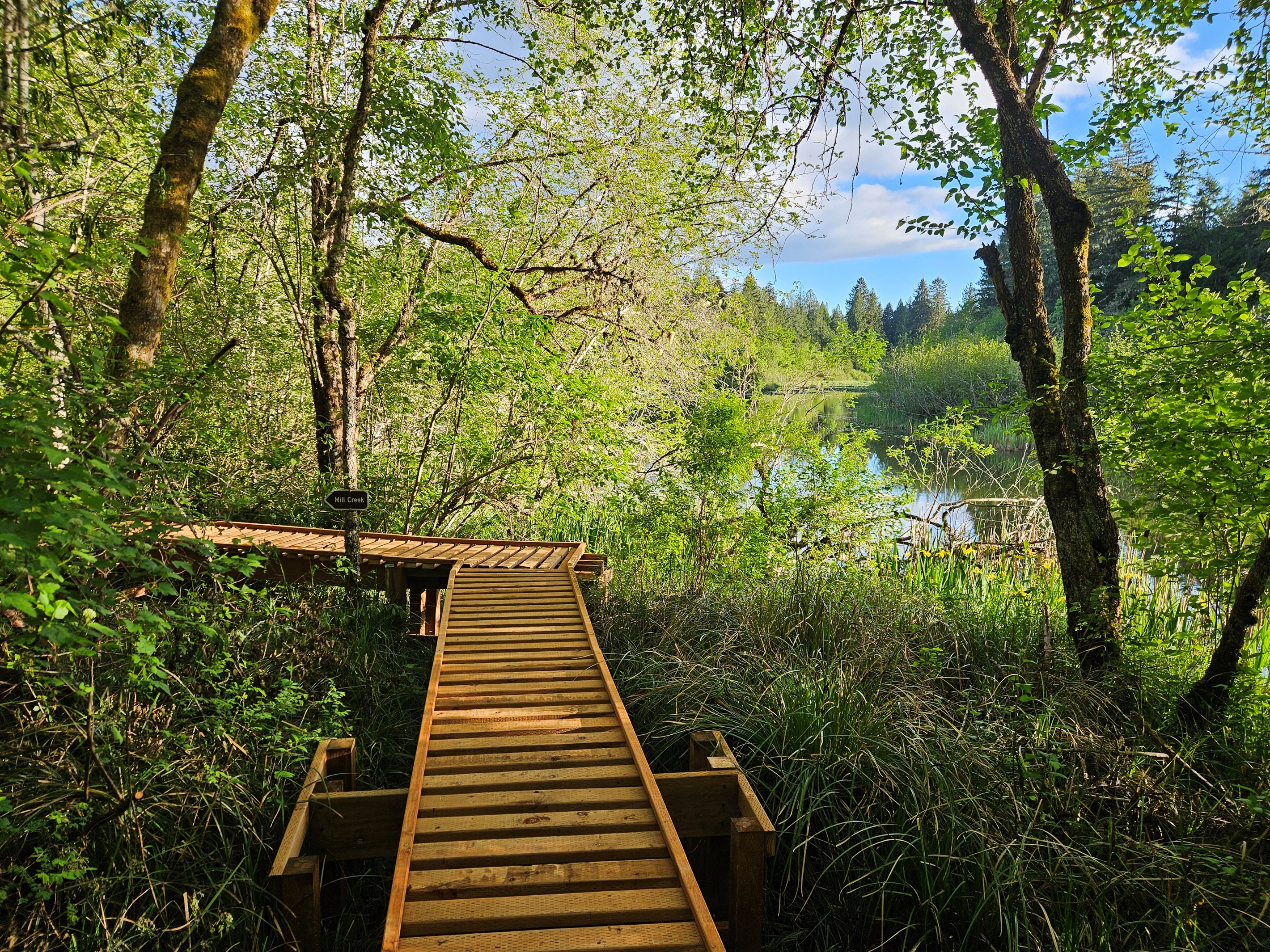 Approaching Mill Creek on the boardwalk
