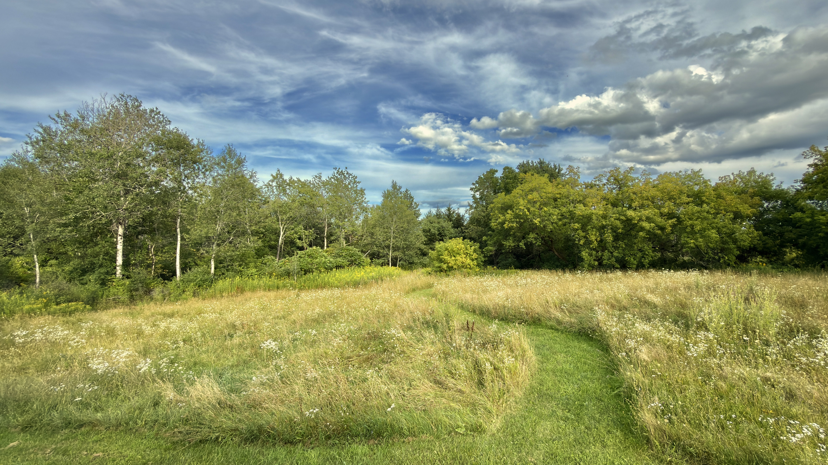 Wander our scenic 4-acre property on this mowed trail through a late-summer wildlife meadow. This peaceful path leads you directly to our private pond, a sanctuary where nature thrives and you can enjoy the vibrant beauty of our land.