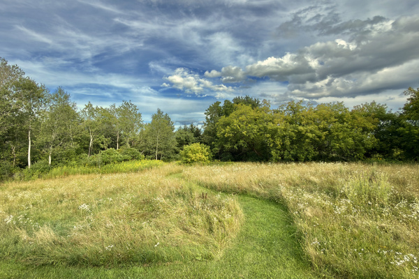 Wander our scenic 4-acre property on this mowed trail through a late-summer wildlife meadow. This peaceful path leads you directly to our private pond, a sanctuary where nature thrives and you can enjoy the vibrant beauty of our land.