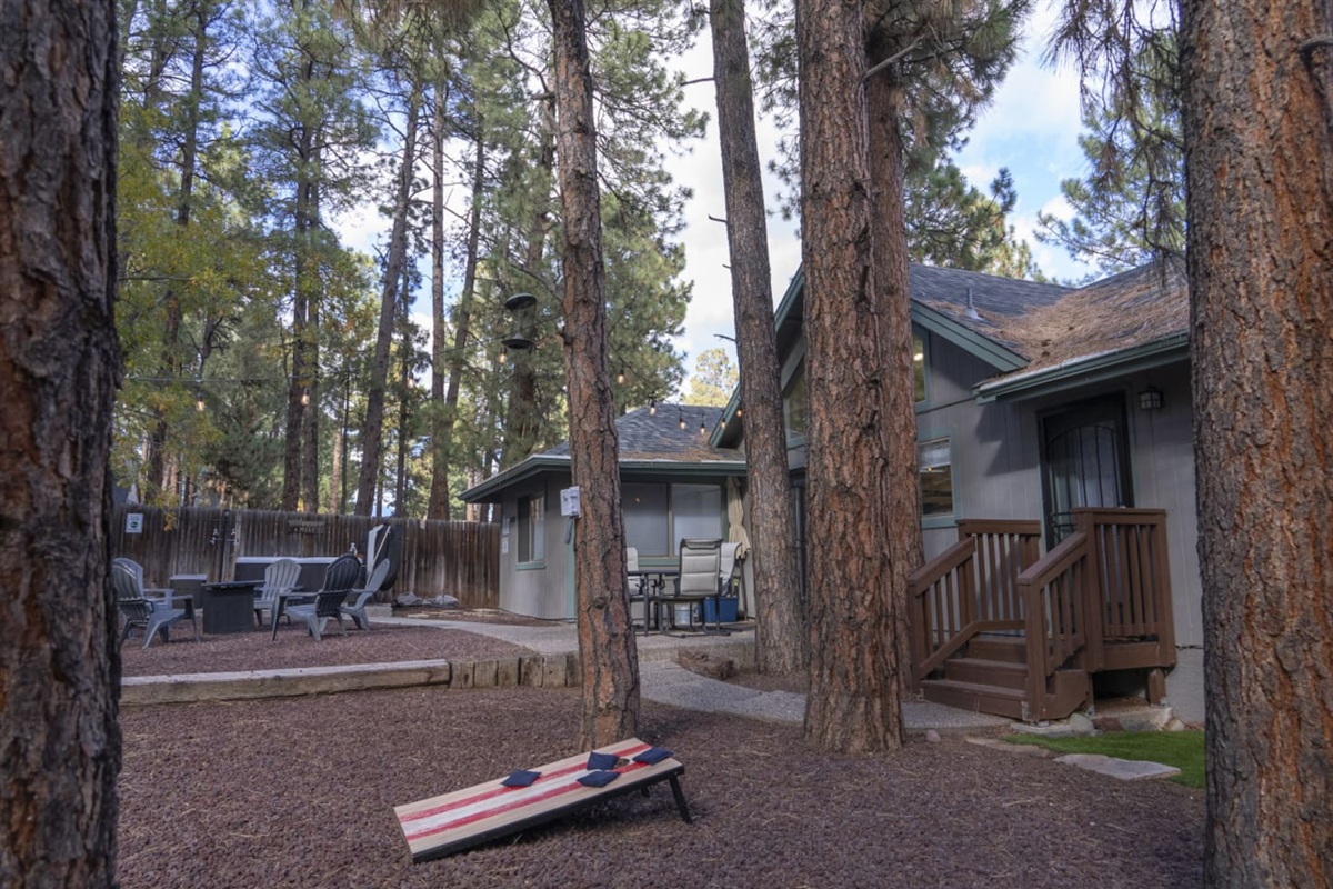 Outdoor space with pine trees, seating, and a peaceful setup for evenings outside.