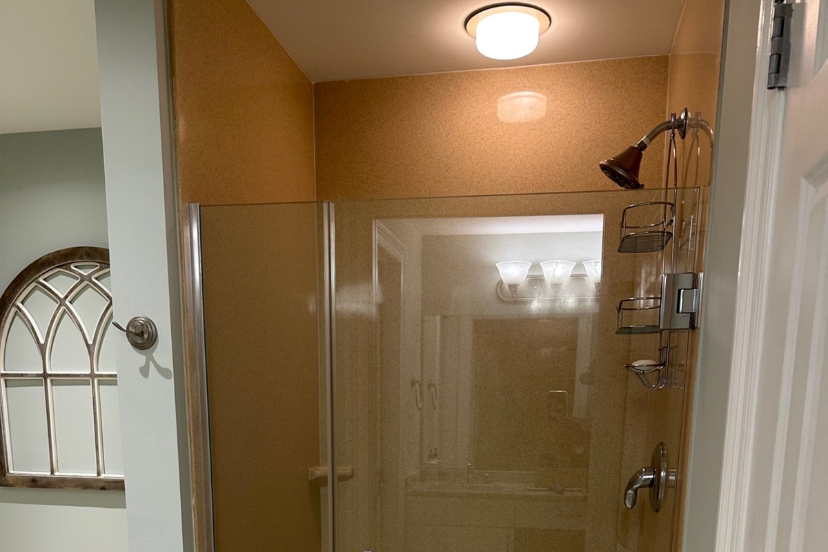 Master walk in shower