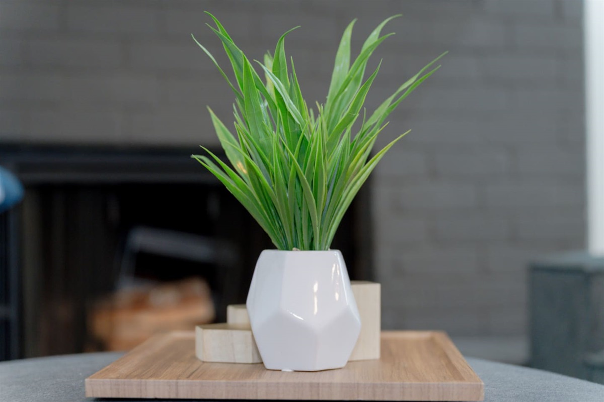 Fresh greenery accents for a clean, modern feel.