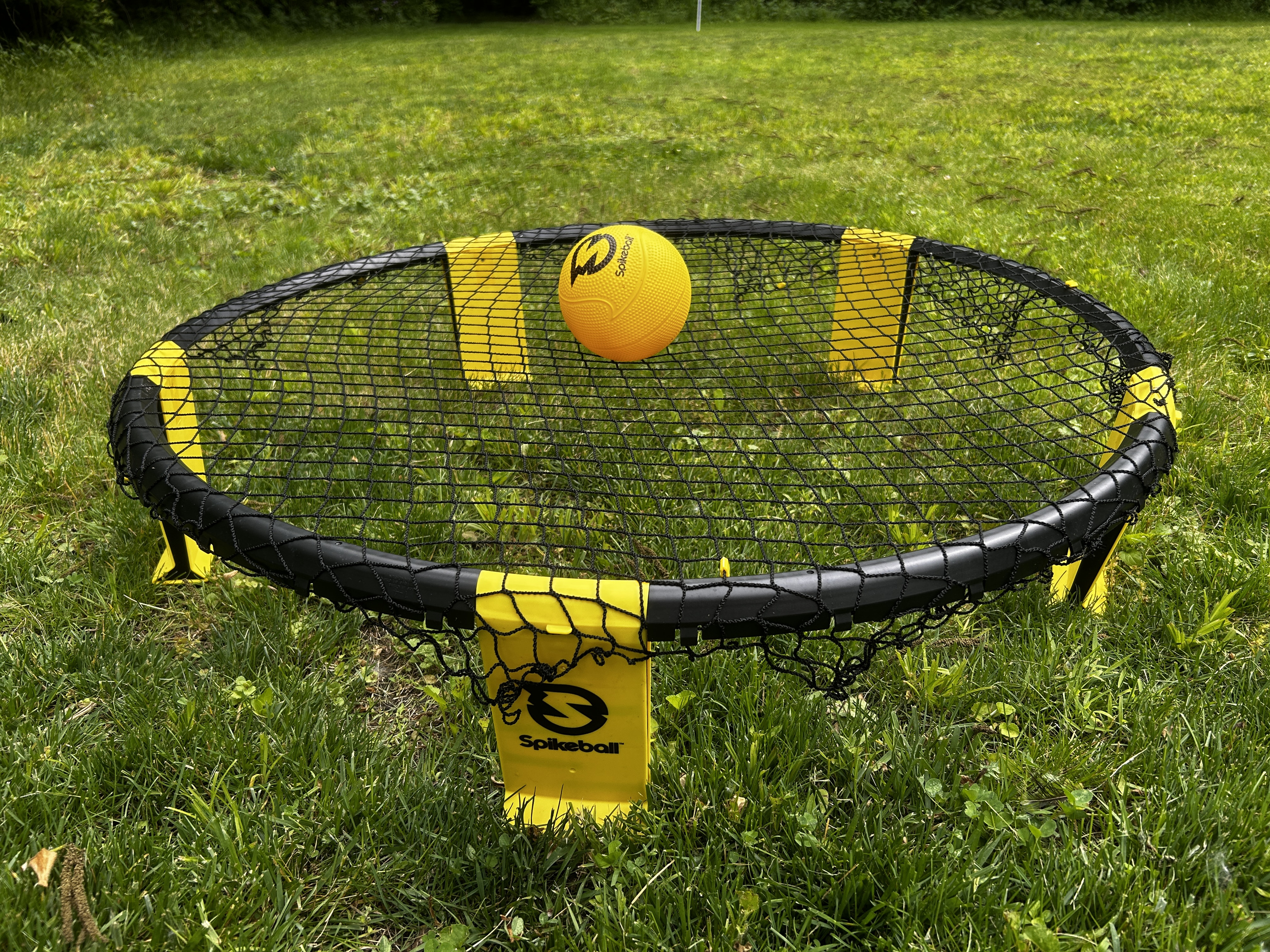 Get a fun workout by playing Spikeball.