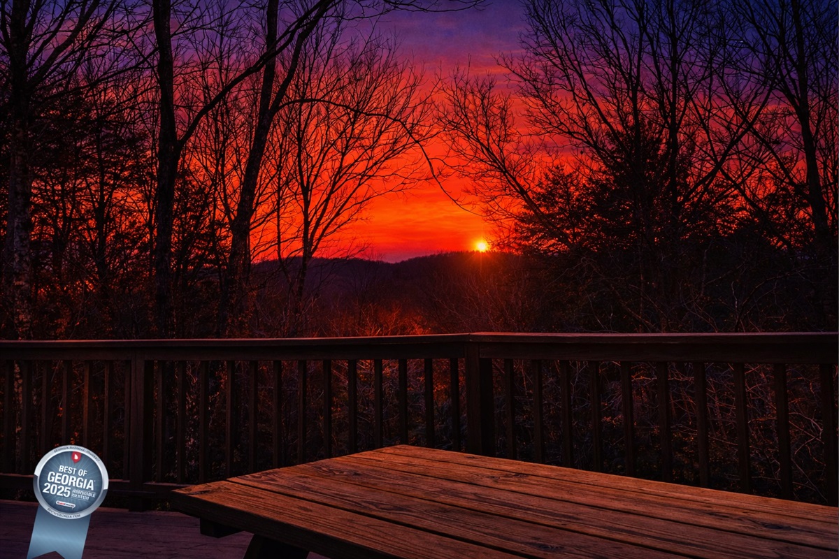 Little Andy Mountain Cabins Voted Best of GA 2025