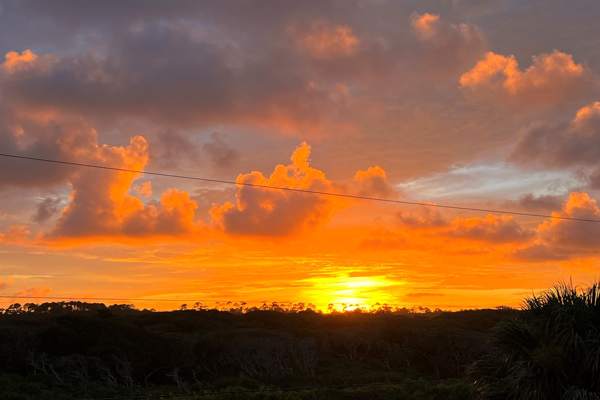 View of Guana State Preserve to the west