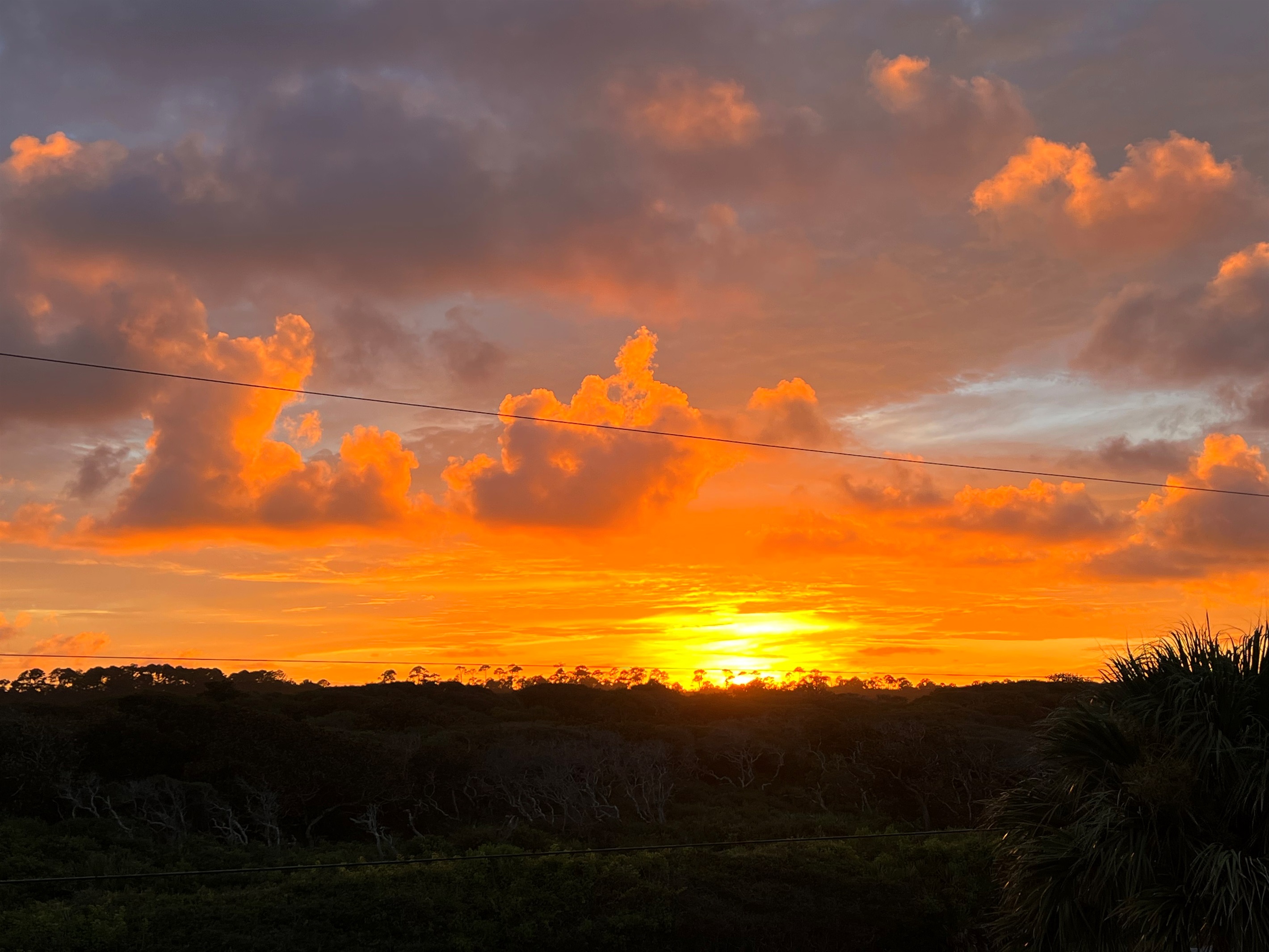 View of Guana State Preserve to the west