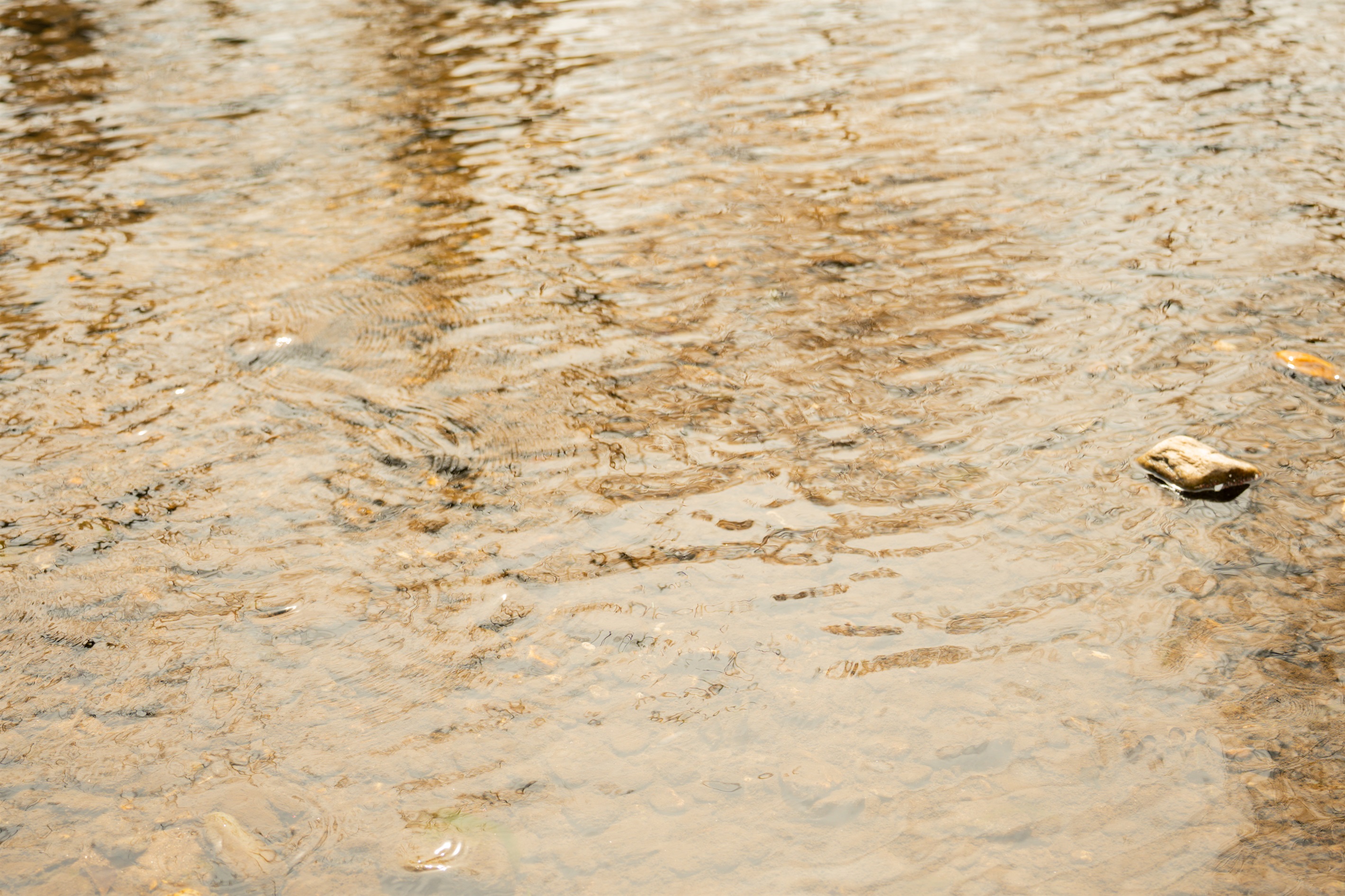 Chattahoochee River!