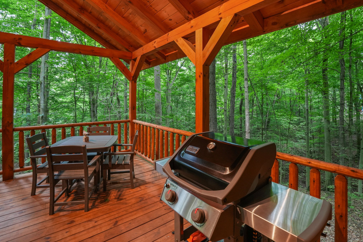 Outdoor dining and gas grill