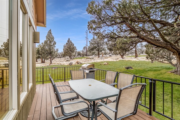 Outdoor dining and gas grill