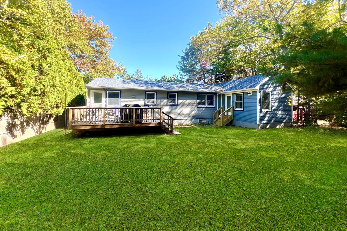 Backyard - Room To Play